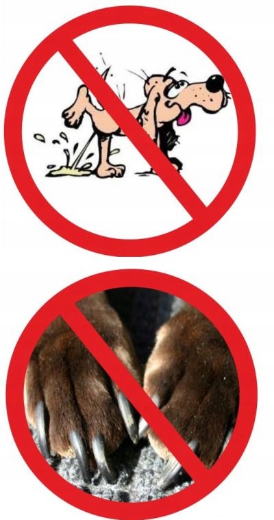 Nakładki na schody bezbarwne nastopnice 85x28cm KR Kształt prostokątny