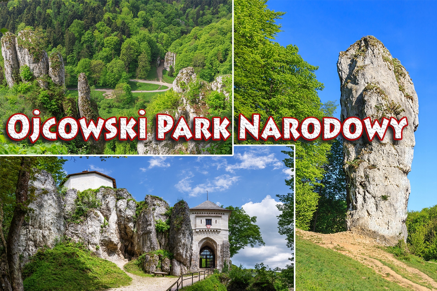 

Magnesy na lodówkę miasta Polski - Ojcowski Park