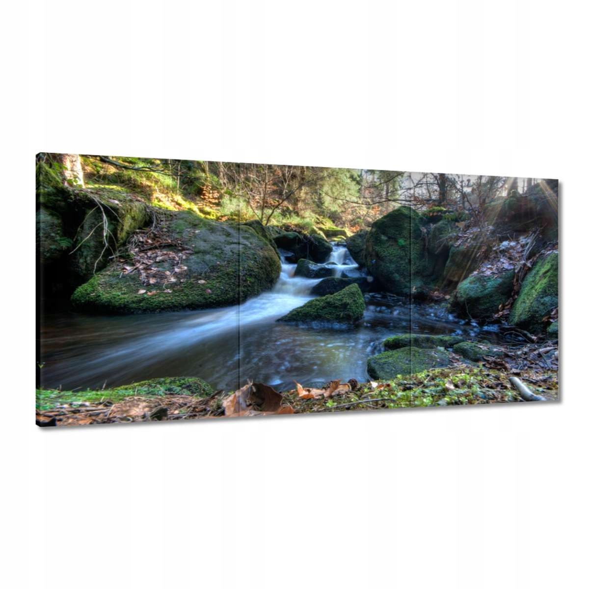 Obrazy 180x90 Ruka v horách