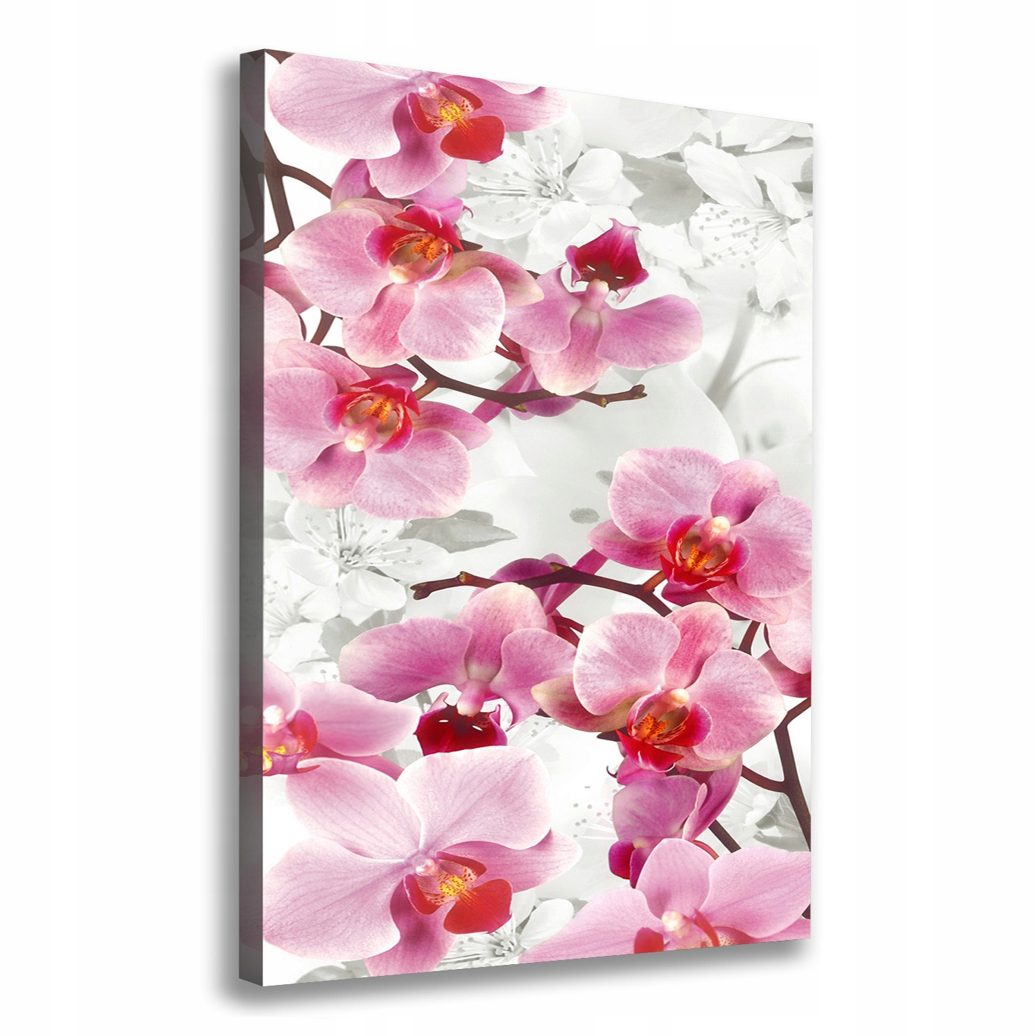 

Foto obraz na płótnie Różowa orchidea 70x100 cm