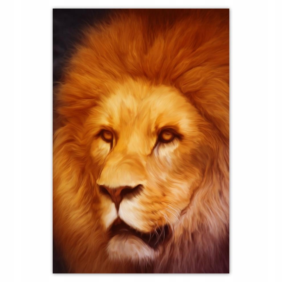 

Plakat 62x93 Król lew