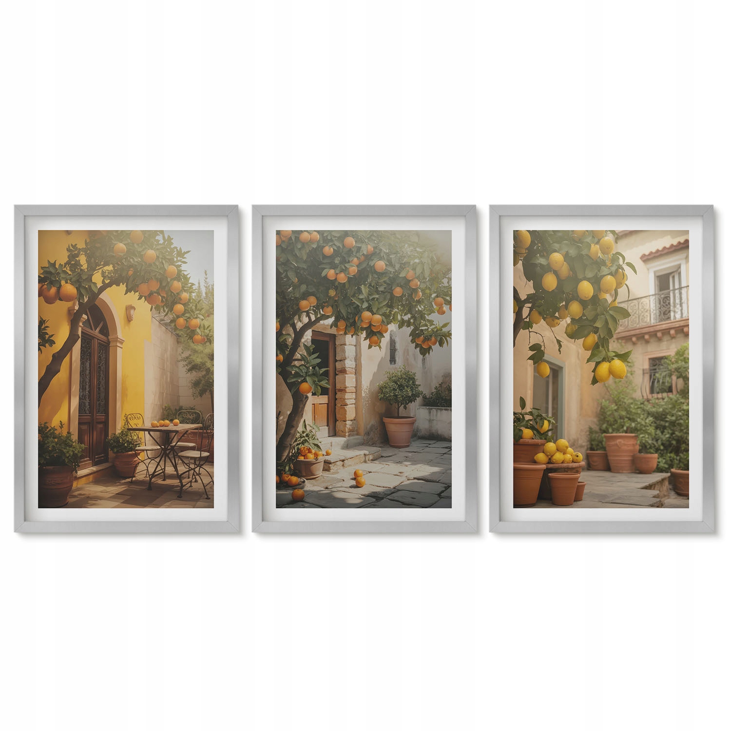 Krásný triptych foto-obrazů v sadě Sluneční terasa citrusy květináče