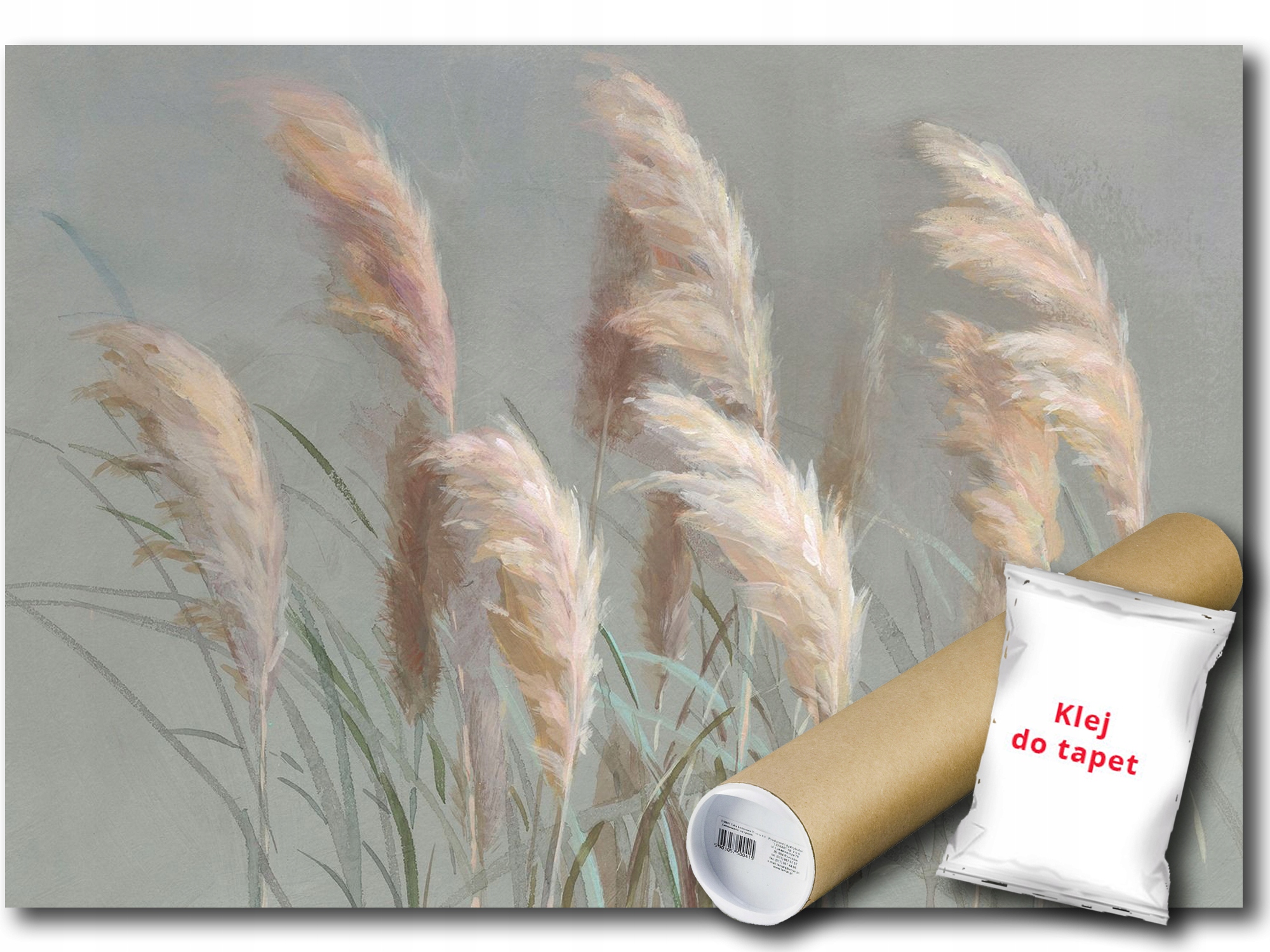 Fototapeta Flizelina Rastliny Pampová Tráva Príroda Boho 368x254