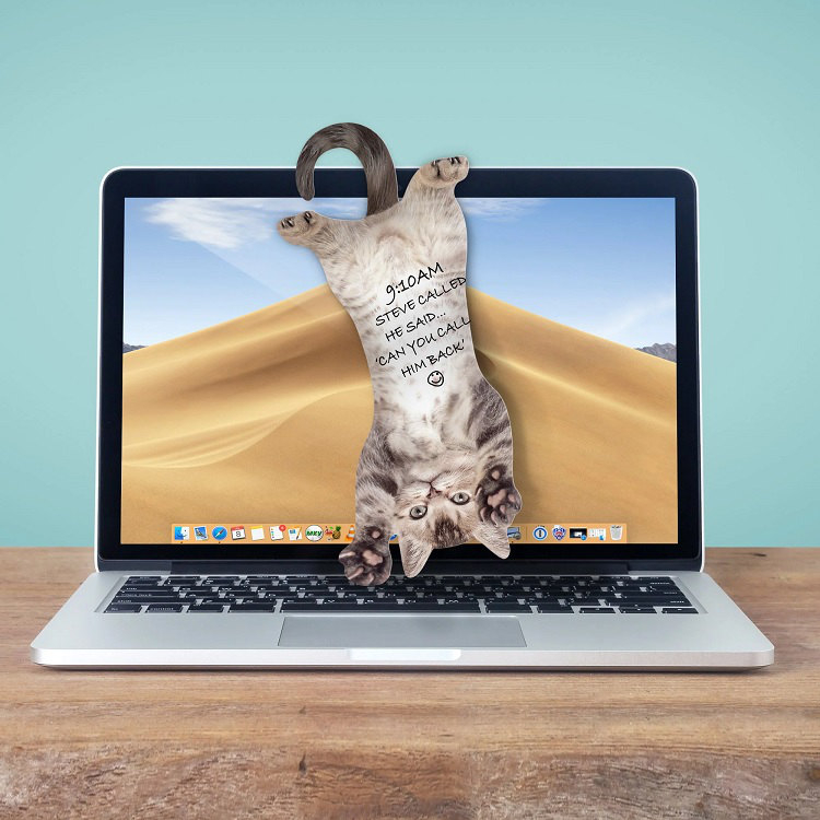 Notes z Kotami Marka inny