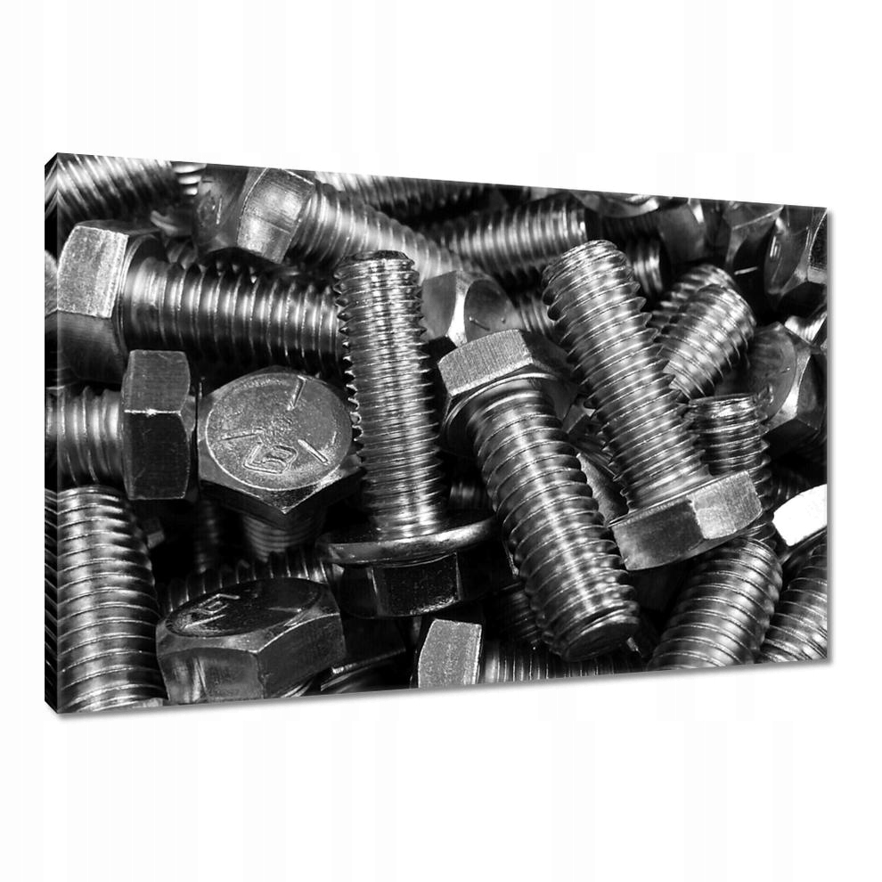 

Obrazy 90x60 Śrubki Śruby Metal