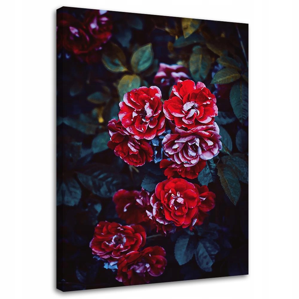 

Obraz Na Płótnie Kwiaty I Liście Canvas 50x70