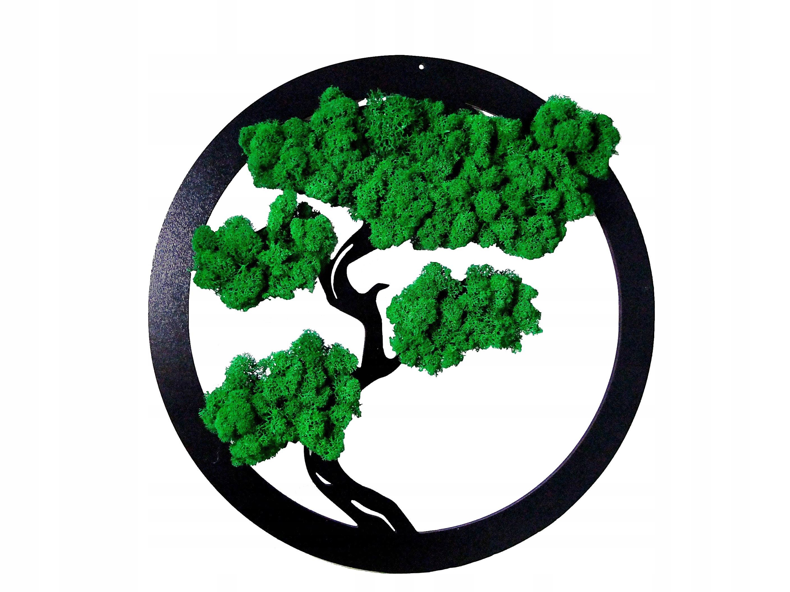 

Drzewko Szczęścia Bonsai Mech Chrobotek Na Ścianę