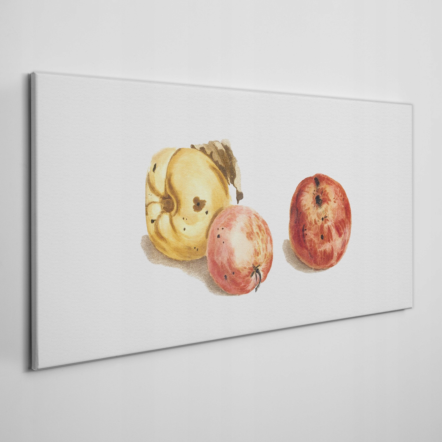 

Ścienny fotoobraz na płótnie Owoce jabłka 120x60