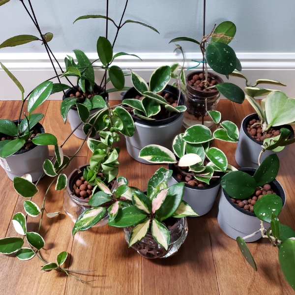 Liapor Keramzyt Original 1-4 mm 15 L