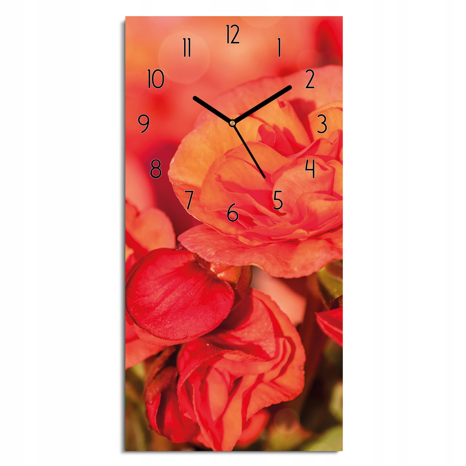 hodiny na skle Begonia okvetné lístky púčiky obdĺžnik 30x60