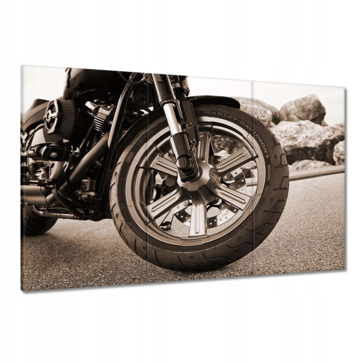 Obrazy 120x80 Harley Davidson Motocykl
