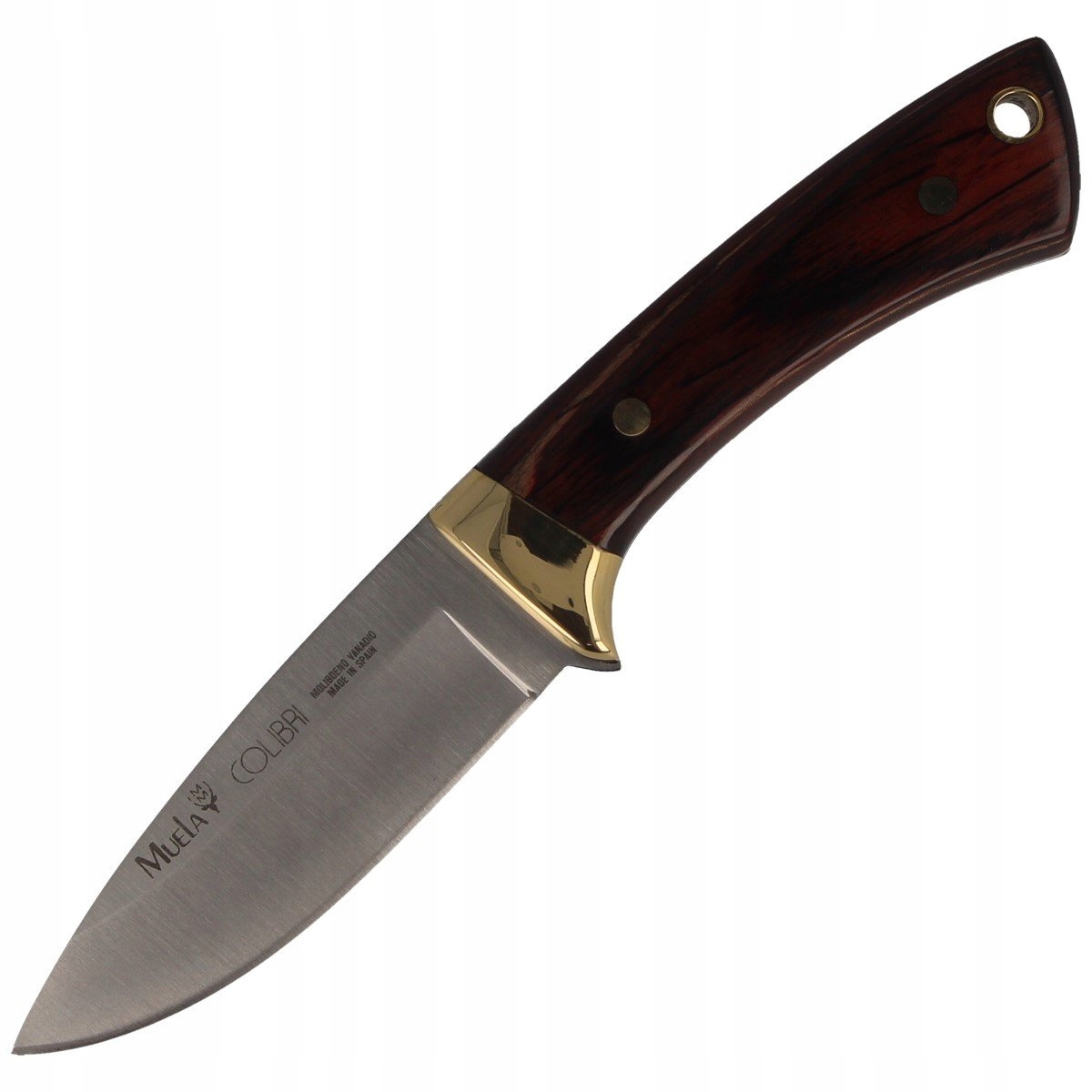 Nůž Muela Colibri Full Tang Pakkawood 70 mm (COL-7M)