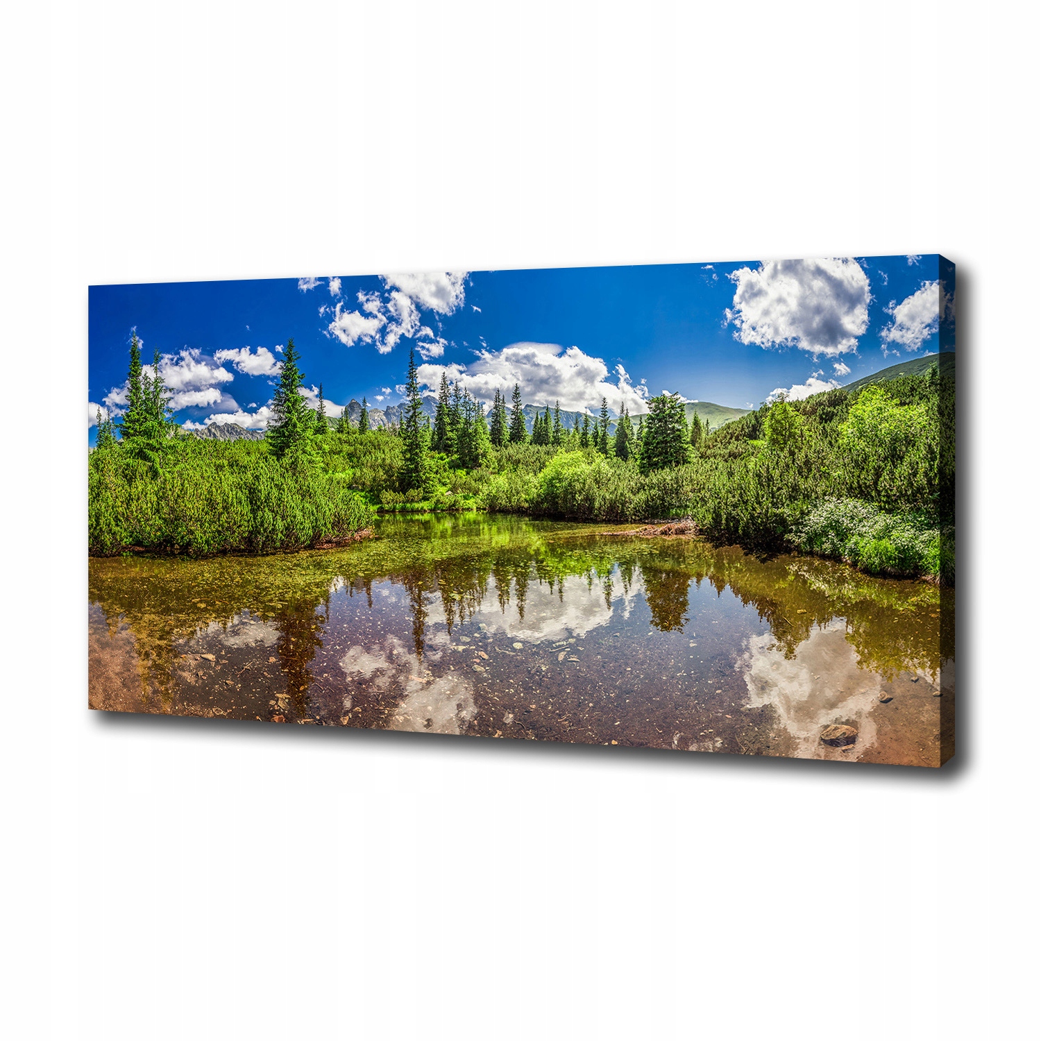 

Foto obraz na płótnie Jezioro w lesie 100x50 cm
