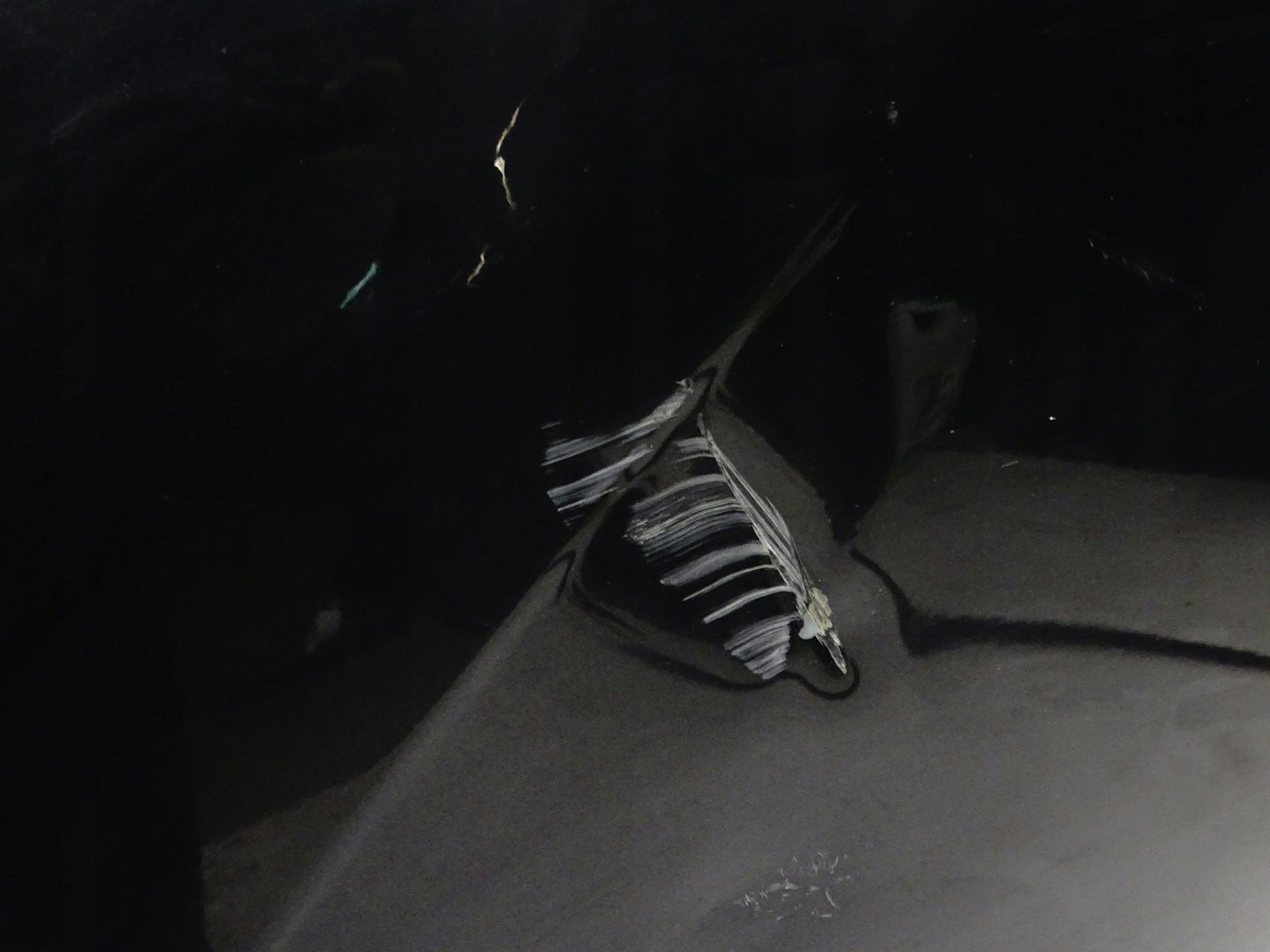 door right rear part right rear. JAGUAR XE X760