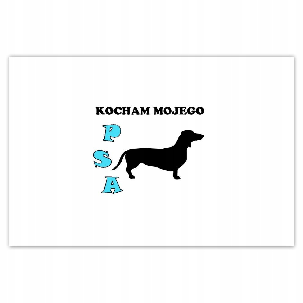 

Plakat 93x62 Jamnik