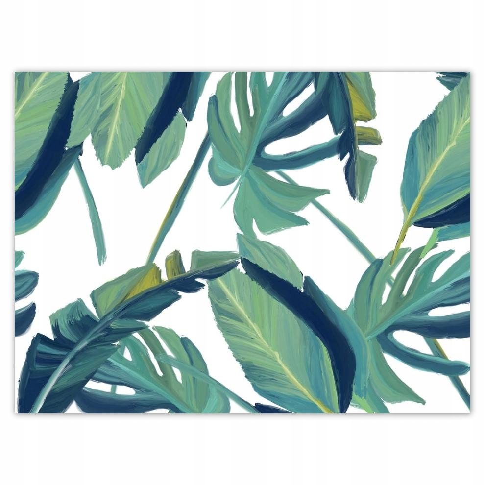 

Plakat 40x30 Monstera Liście liść
