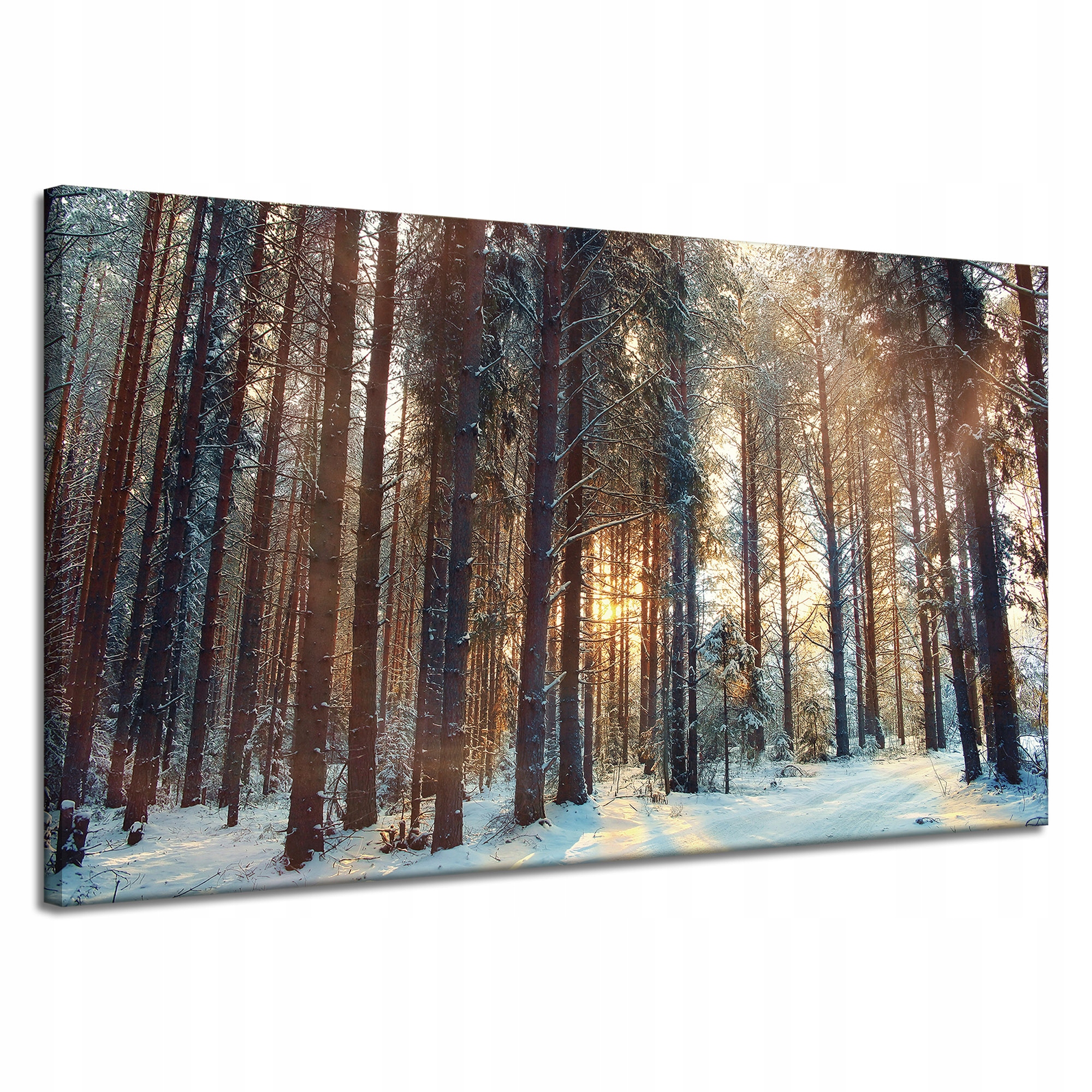 Obraz na plátně Les Zima Sníh Bílá Příroda 120x70 cm