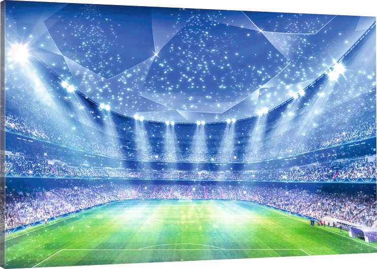 

Obraz Na Płótnie stadion piłkarski piłka 120x80