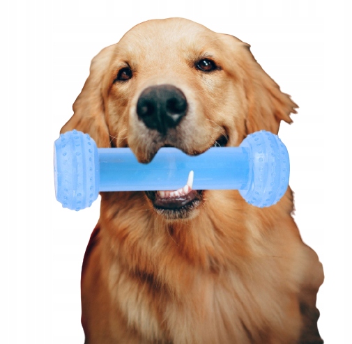 

Zabawka Chłodząca dla psa na lato Hantel Freeze