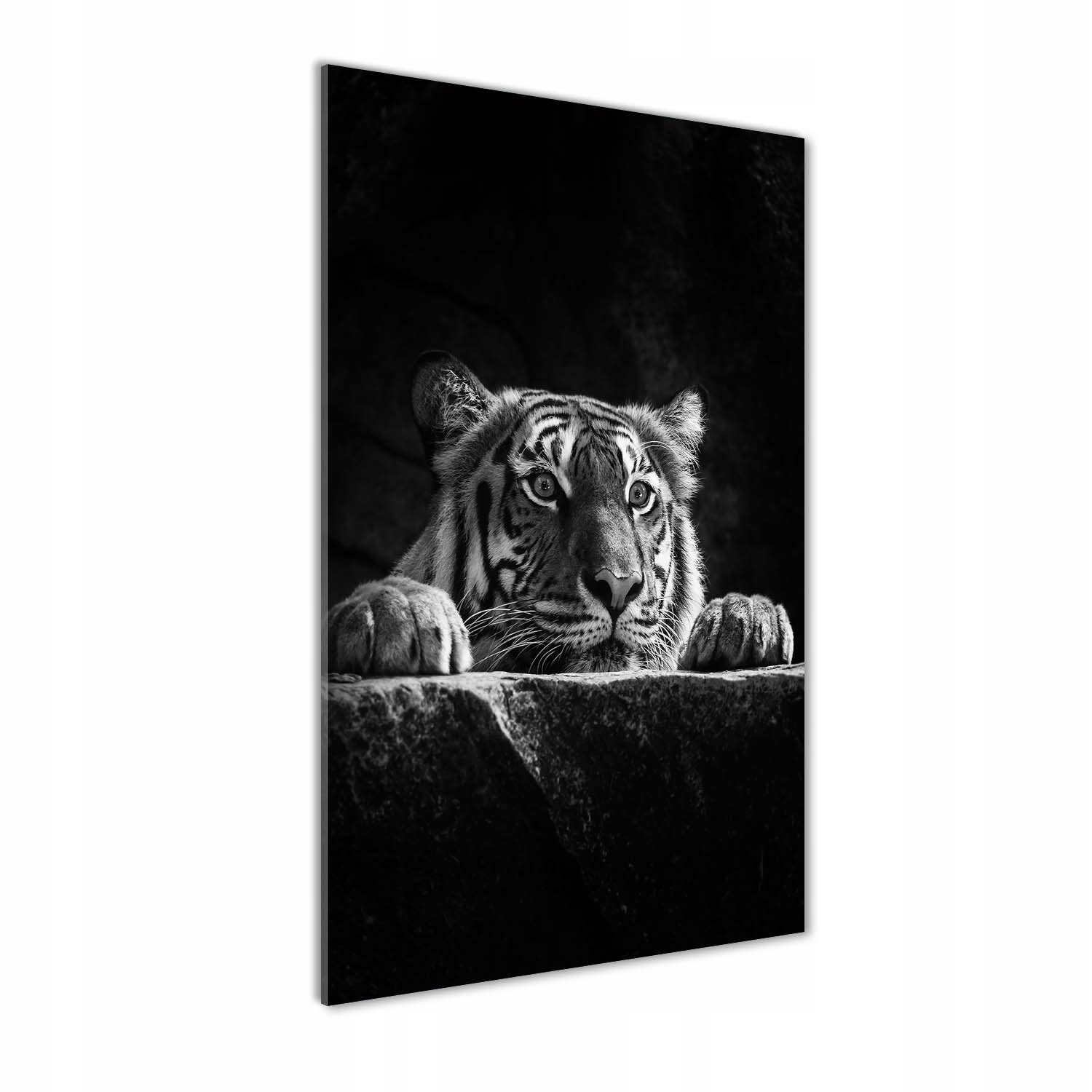 

Foto obraz szkło akrylowe na ścianę Tygrys 60x120