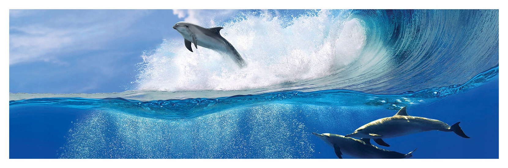 Fototapeta Delfíny v oceáne skok radosť dobrodružstvo realizmus 624x219 lepidlo