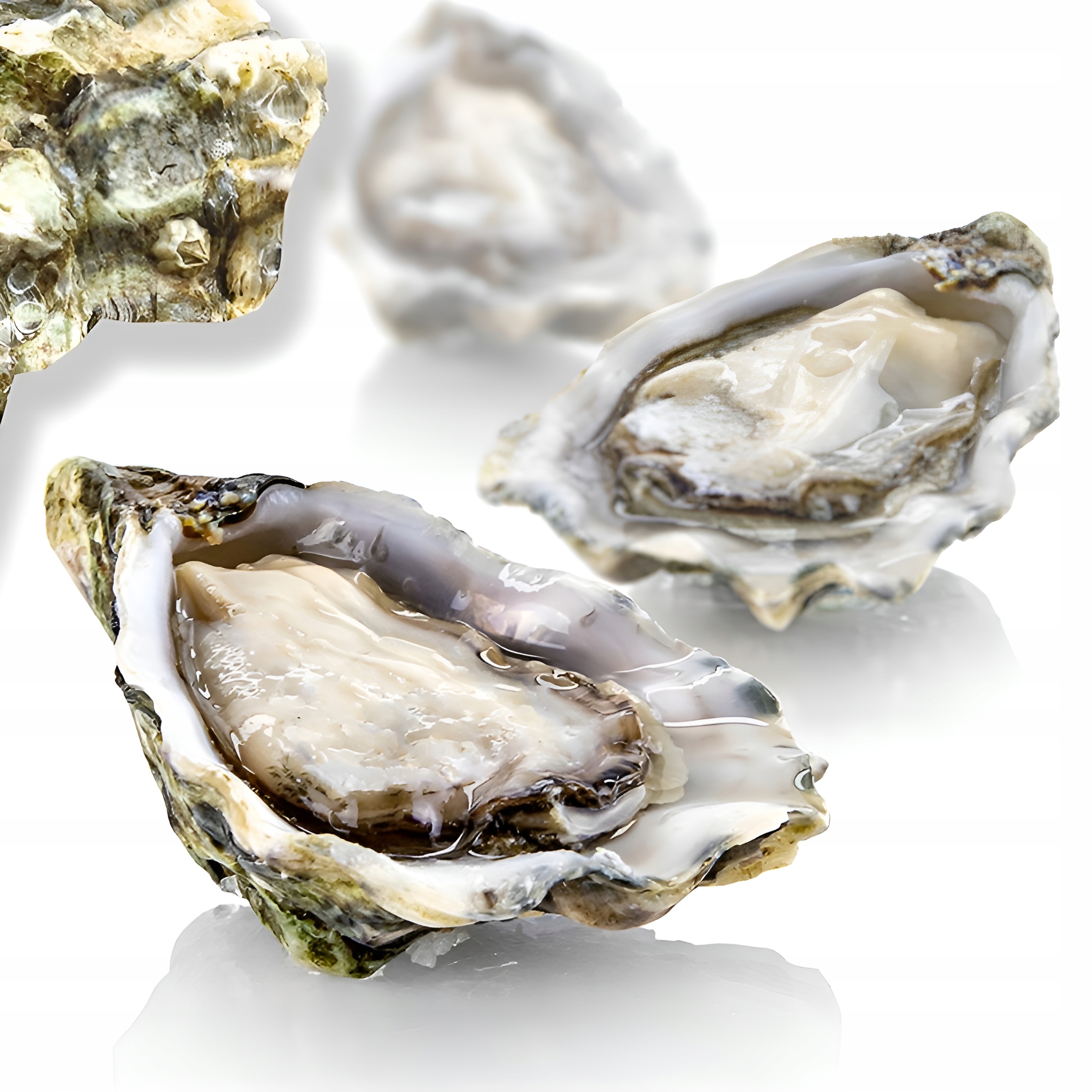 Ostrygi Japońskie Murotsu śpią (szokowe zamrażanie) 1 kg (66-86 g/szt)