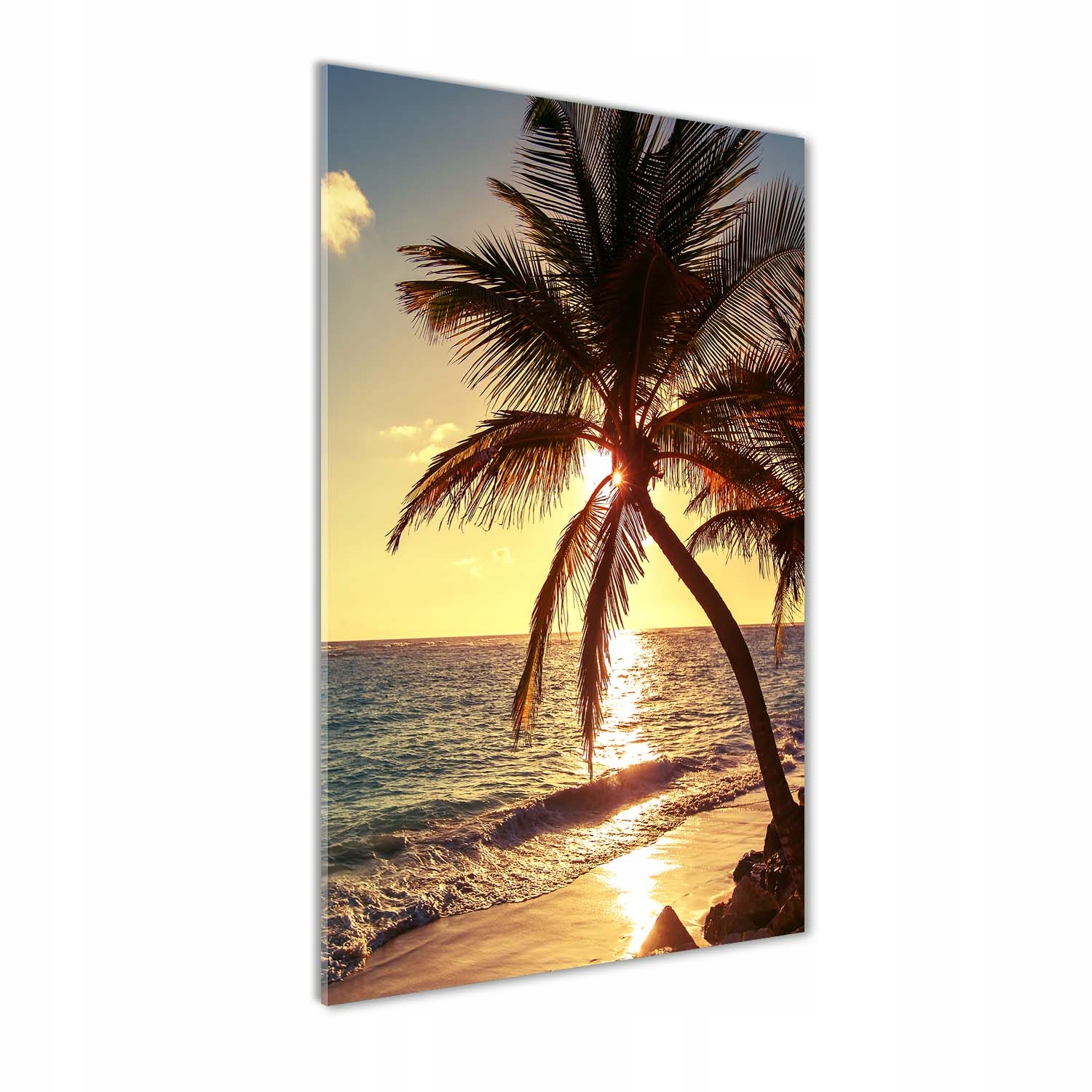 

Foto obraz szkło akrylowe Tropikalna plaża 60x120