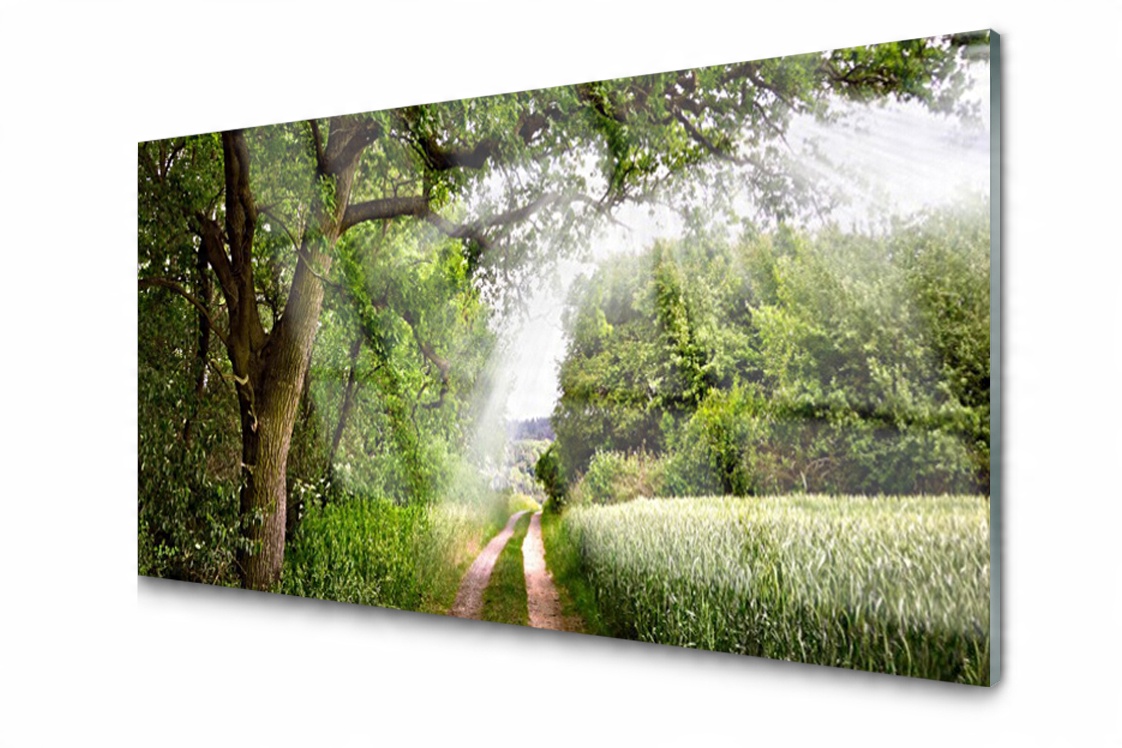 

Panel szklany Płytka Drzewa Ścieżka 140x70