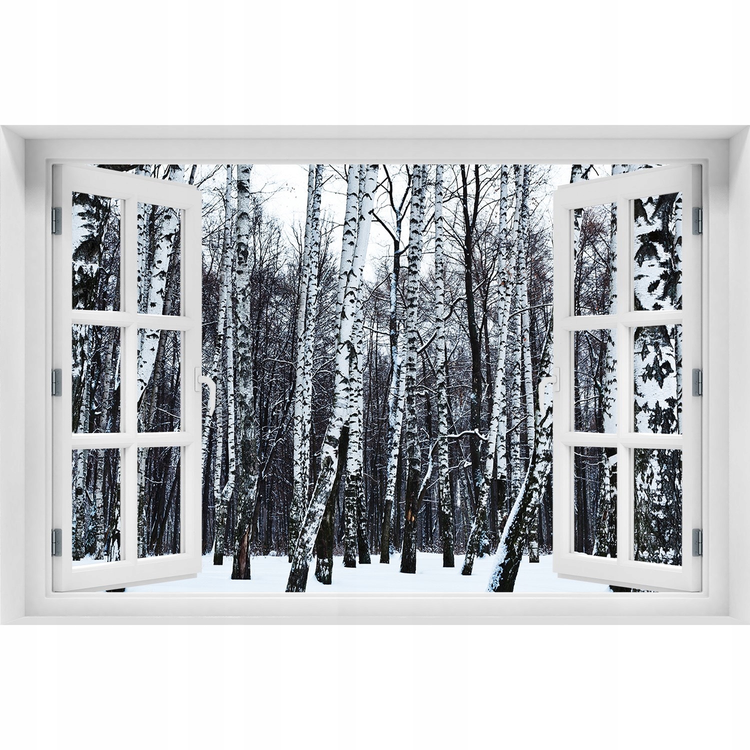 

Naklejka Fototapeta Okno widok Brzozy zimą 120x80