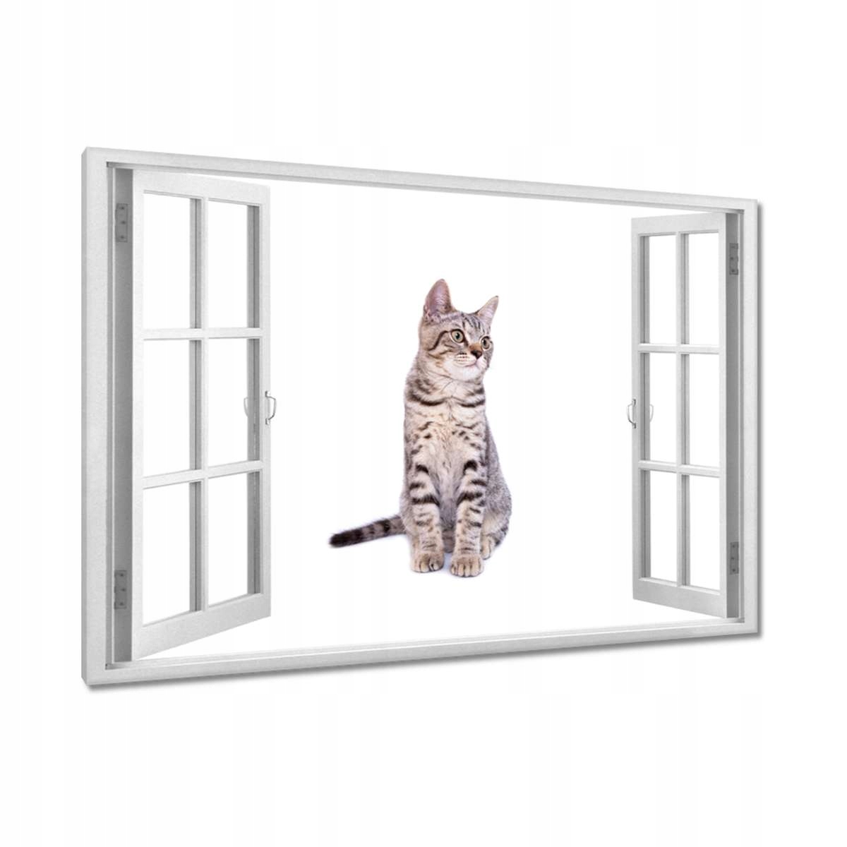 Obrazy 120x80 Kočka Kotě Kočky