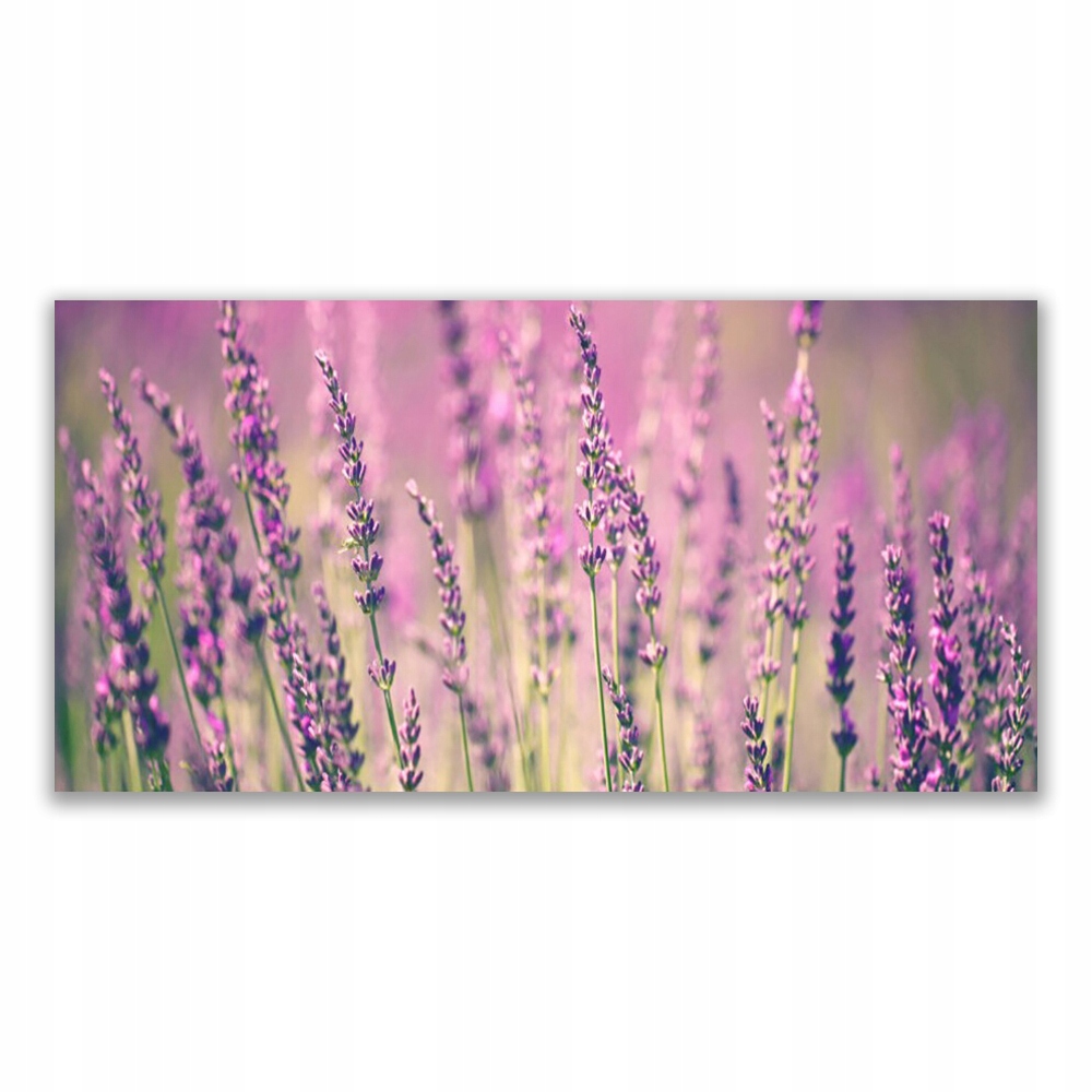 

Obraz akryl wiszący 120x60 Kwiaty Roślina Natura