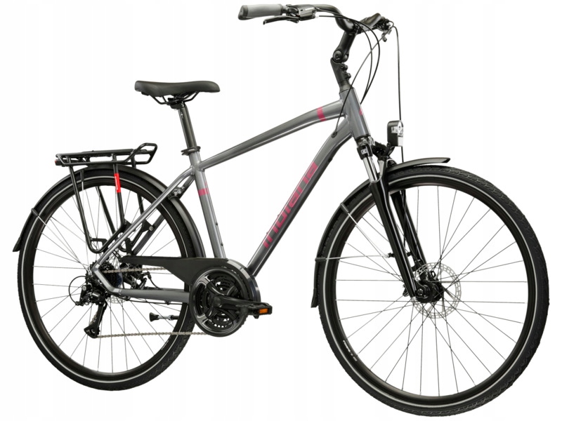 Rower trekkingowy Indiana X-Road 3.0 M21 28 cali męski Szaro-bordowy