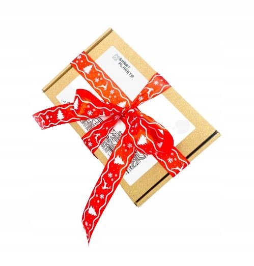 Zestaw edukacyjny SIMPLE KIT do nauki Arduino Rodzaj inny