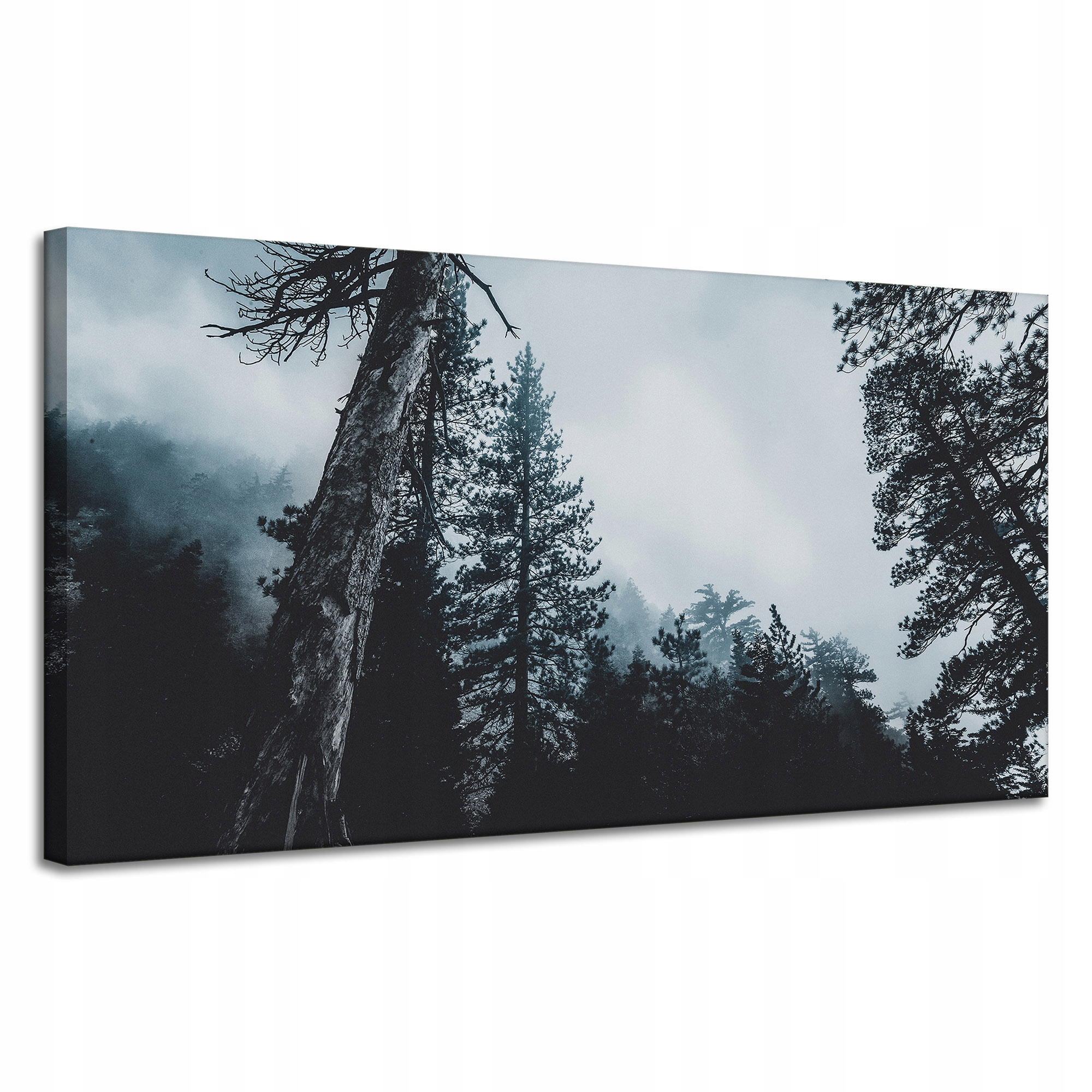Obraz Canvas Příroda Koruny stromů Mlha 120x60 cm