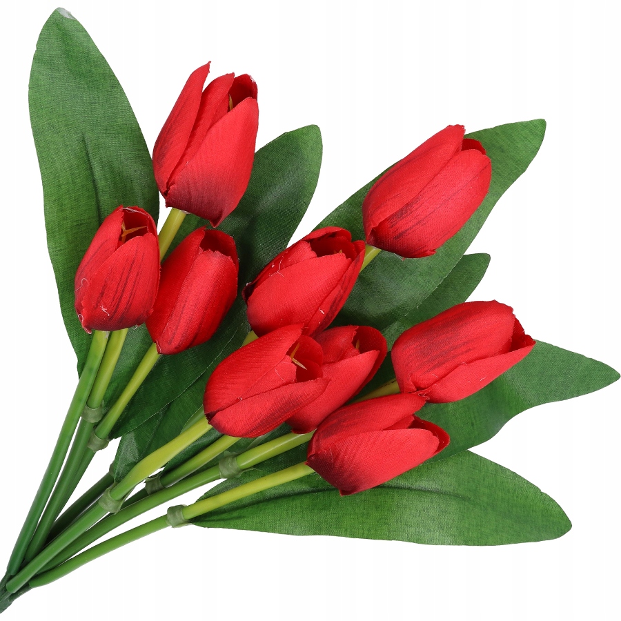 

Tulipany Bukiet Tulipanów Tulipan Liście Duży 9szt