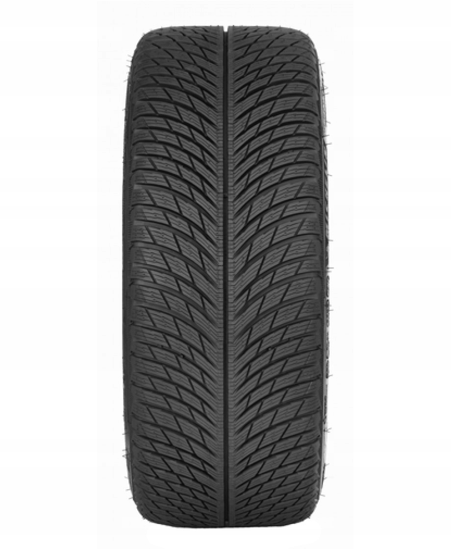 Michelin Pilot Alpin 5 295/30 R21 XL 102 V