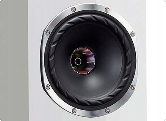 KOLUMNY PODŁOGOWE FYNE AUDIO F501SP GLOSS WHITE Rodzaj podłogowe