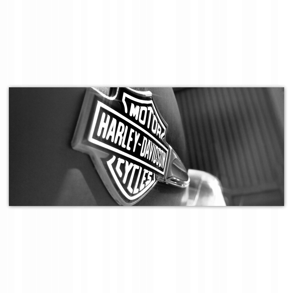 

Fototapety flizelina 211x91 Logo Harley Davidson