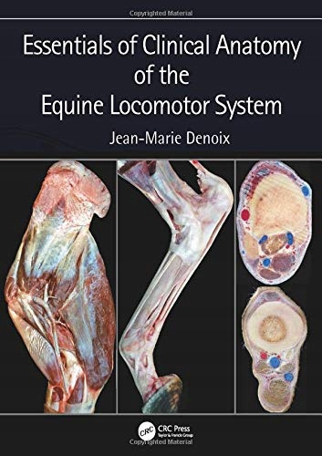 Essentials of Clinical Anatomy of the Equine