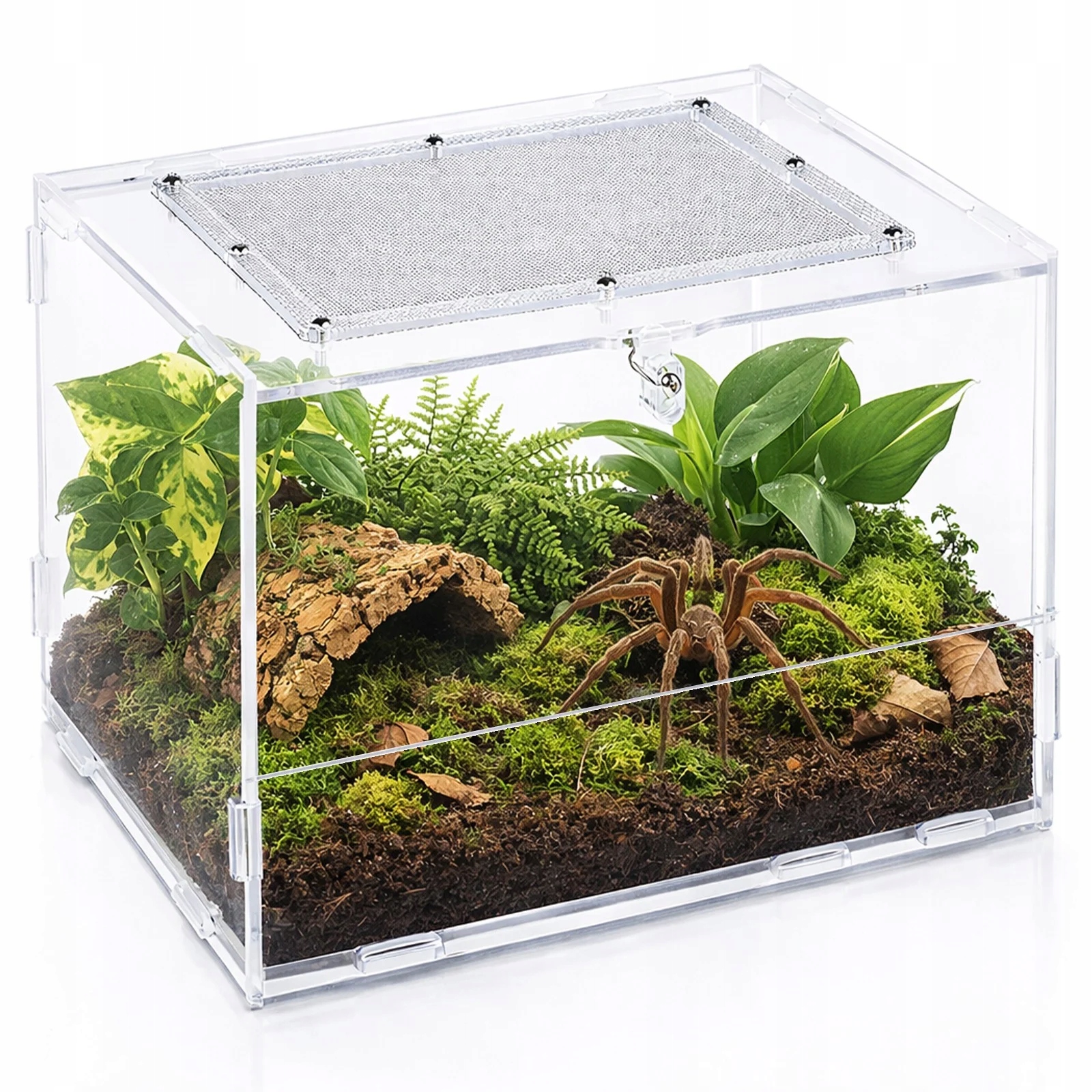 Terrarium Akrylowe 20X15X15 Terrarium Dla Ślimaka Pająka Wentylacja