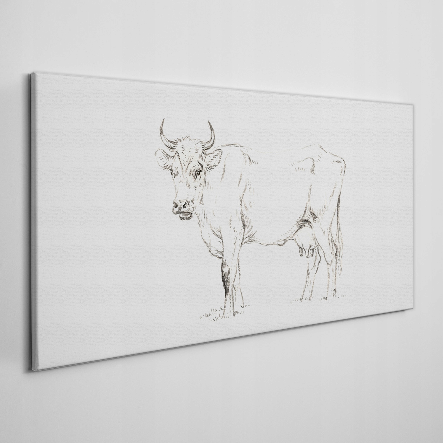 

Foto-obraz na ramie płótno Zwierzę krowa 120x60 cm