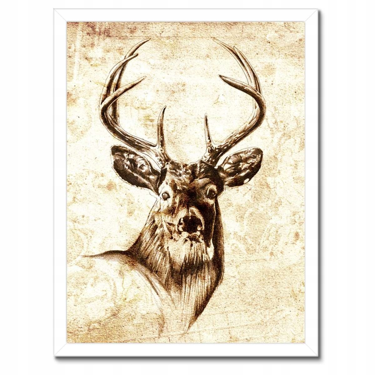Plakáty v rámu 30x40 Hlava jelena