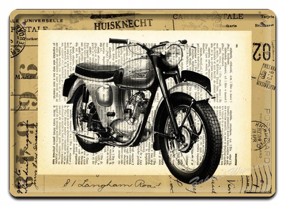 Indian Metalowy Szyld Plakat Obrazek Vintage #02109
