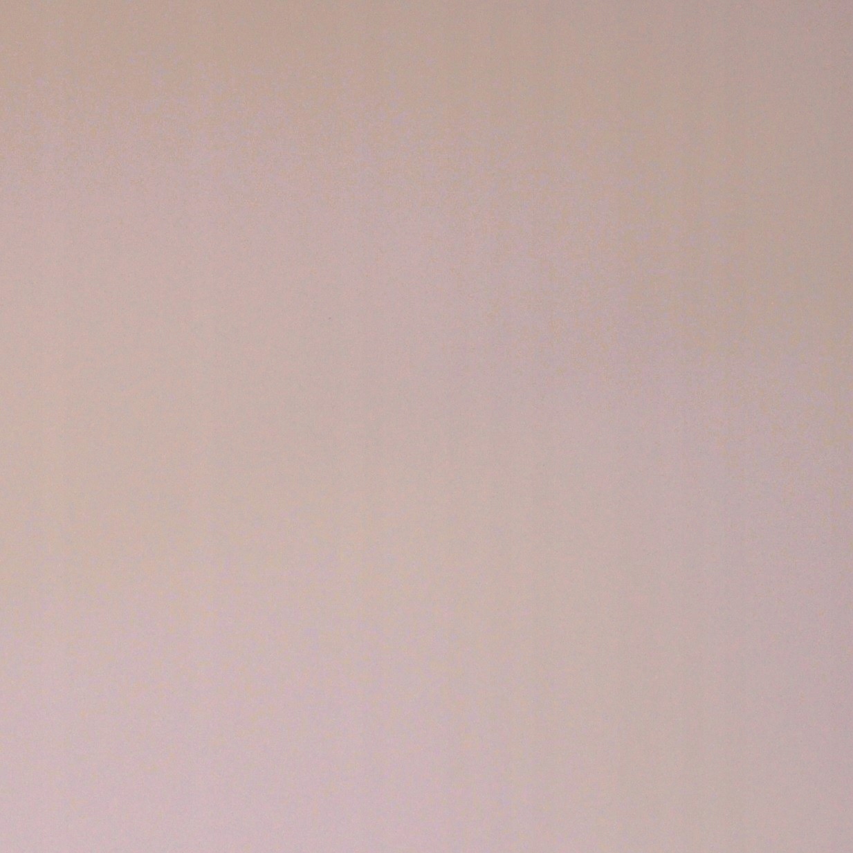 WYKŁADZINA PCV, targi, wystawy 2m - Pudrowy róż