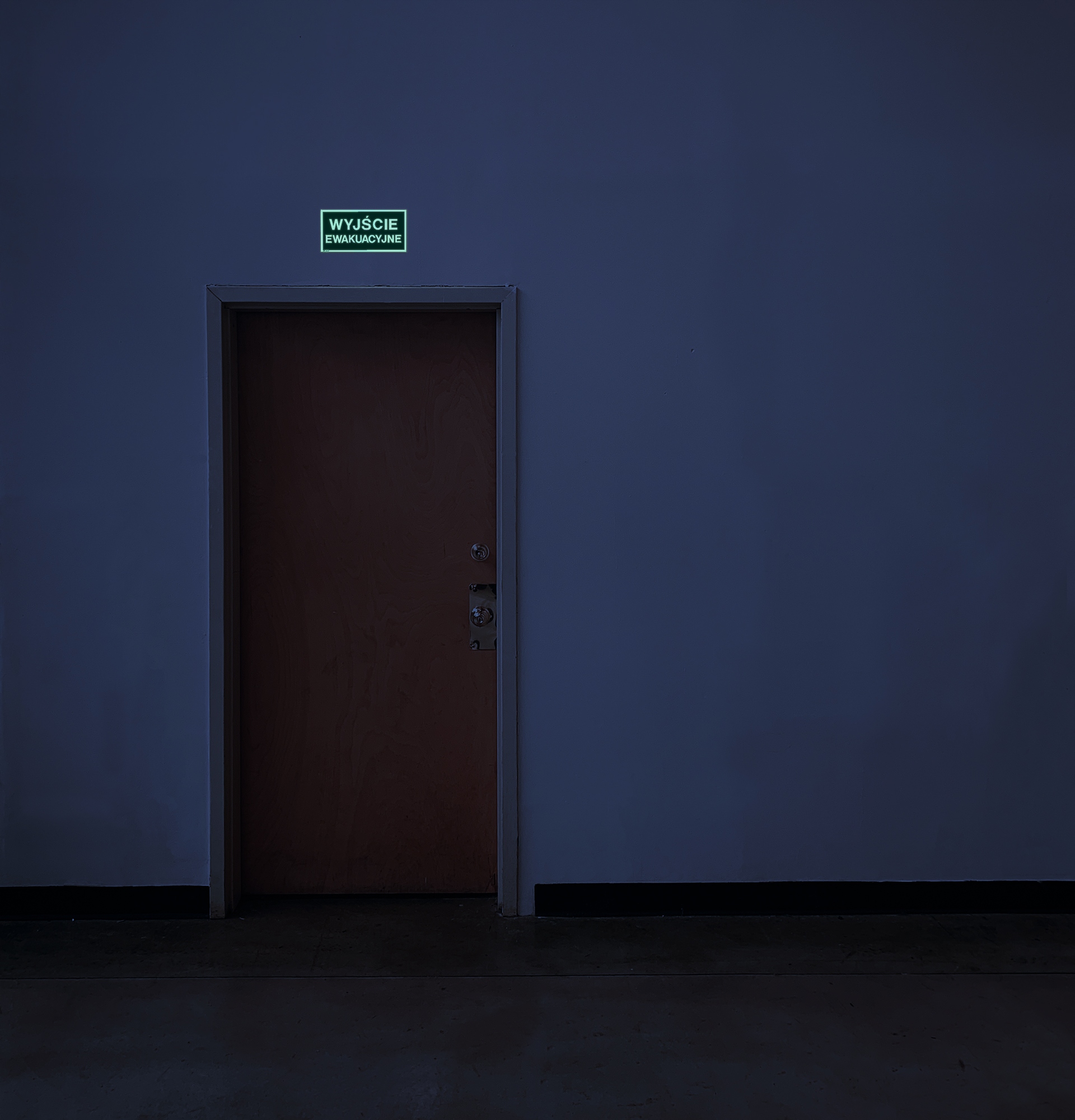 ŚWIECĄCA W CIEMNOŚCI TABLICZKA BHP WYJŚCIE EXIT | TABLICA ZNAK 15x3cm Marka Printima