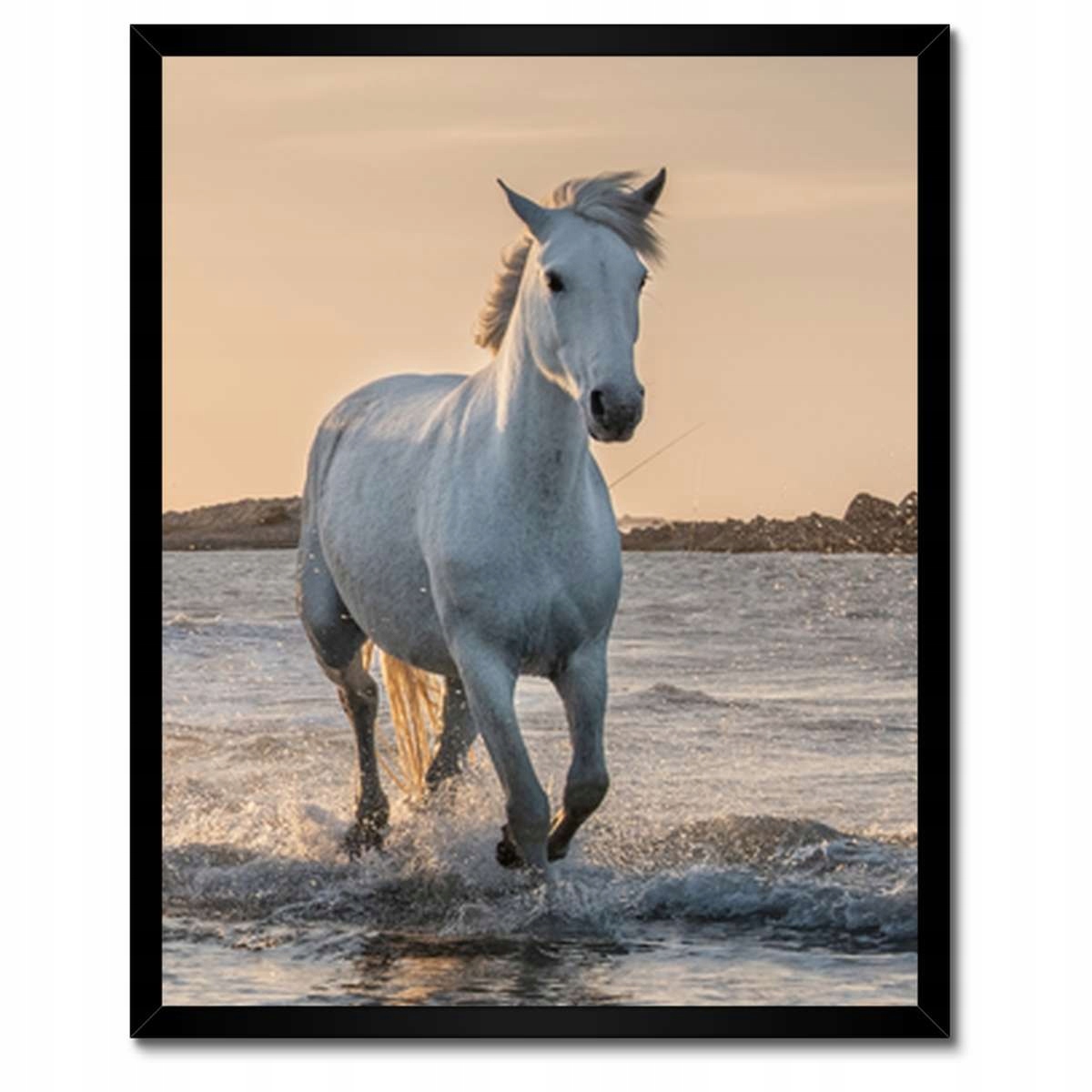 Plakáty v rámu 40x50 Divocí koně Wild Horses