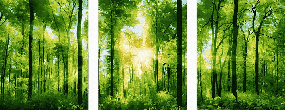 Obraz pro malování podle čísel iPicasso na rámu Triptych