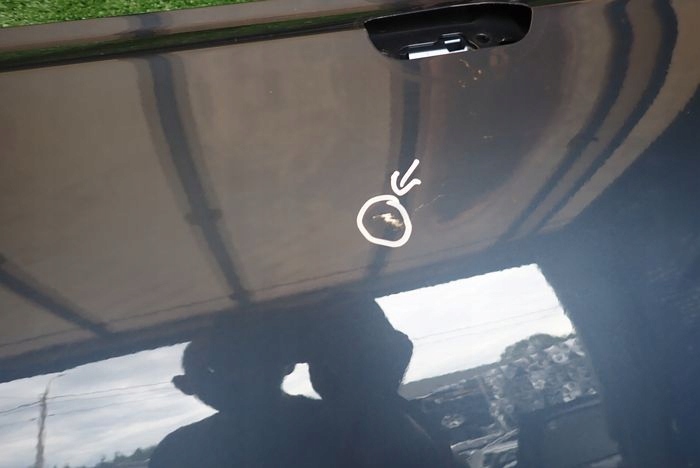 VOLVO POLESTAR II 21- door right front front