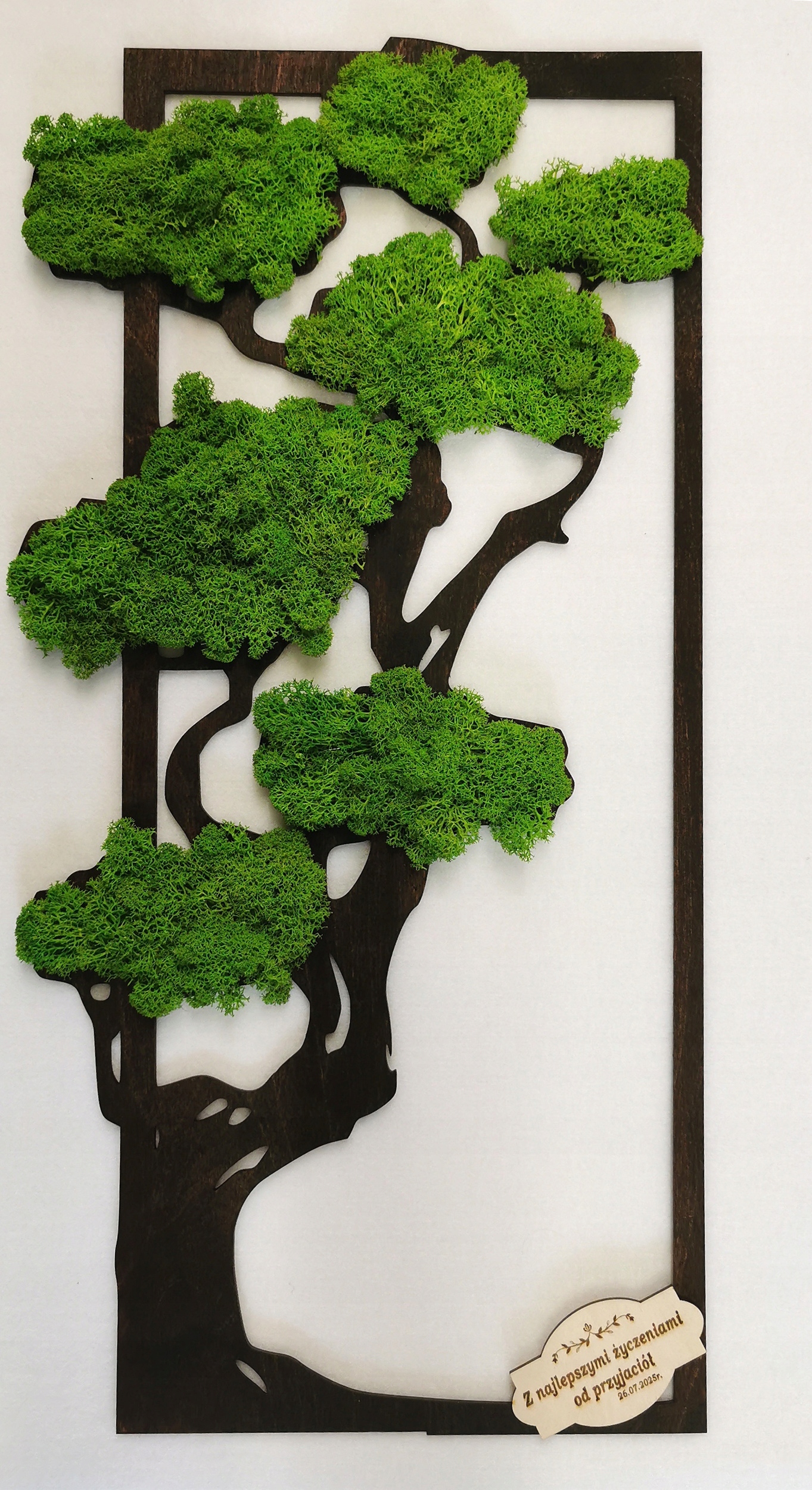 Obraz Strom Dekorativní Mech Chrobotek 30/60 Palisander dárek věnování