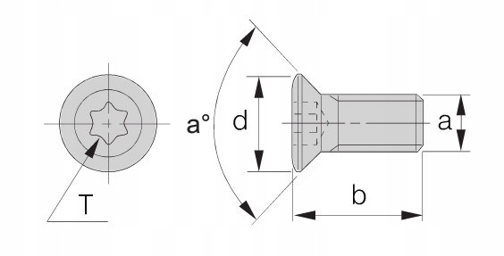 Śruba M2,5x8 T8 TORX Marka inny